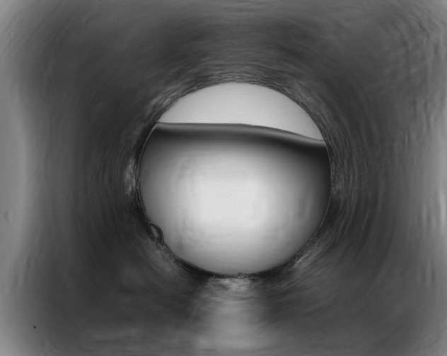 X0000087310478200704200722