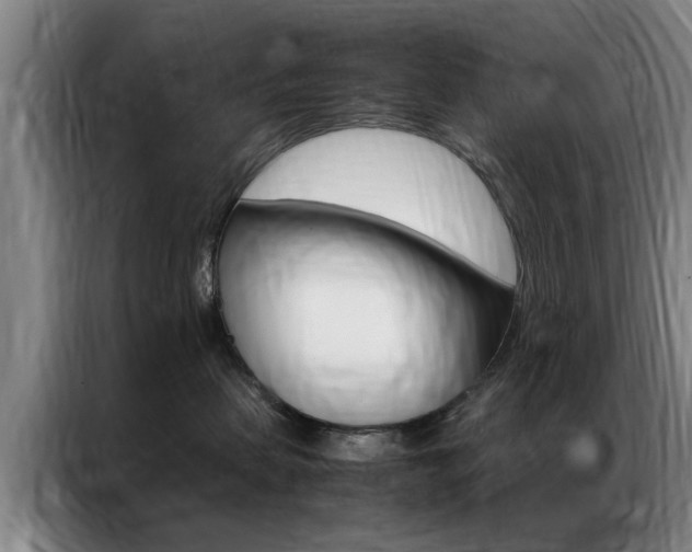 X0000087310479200704200722