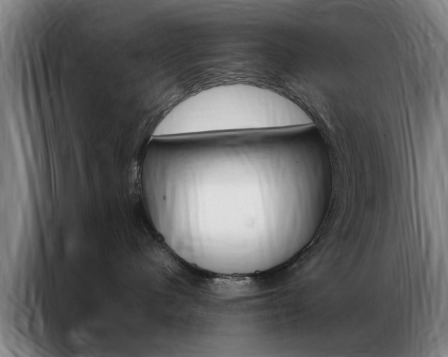X0000087310480200704200722