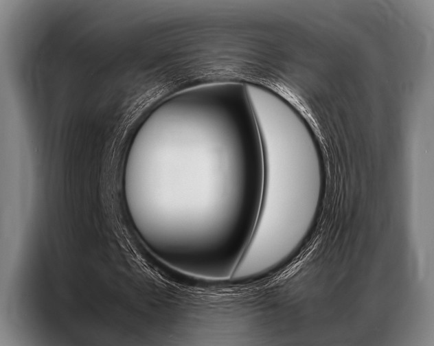 X0000087310481200704200721