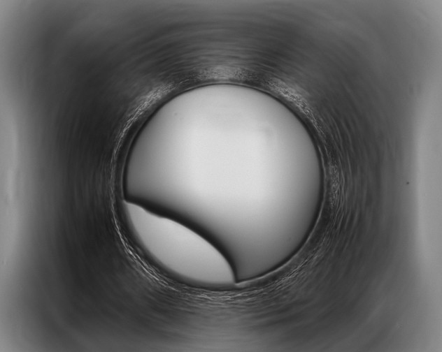 X0000087310482200704200721