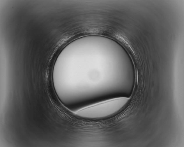 X0000087310483200704200721