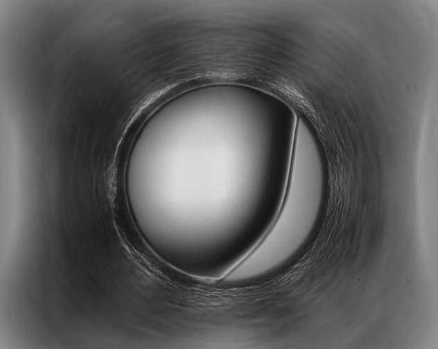 X0000087310484200704200721