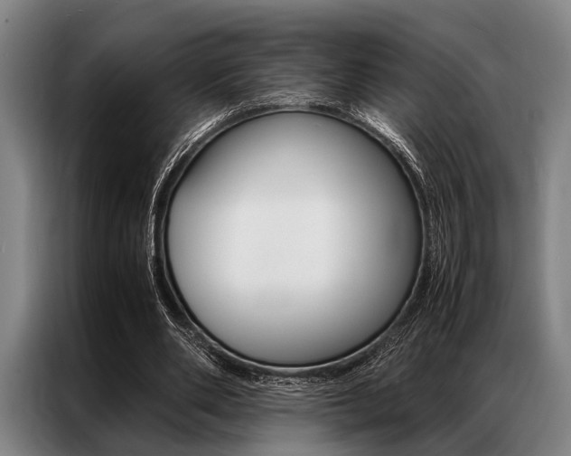 X0000087310486200704200721
