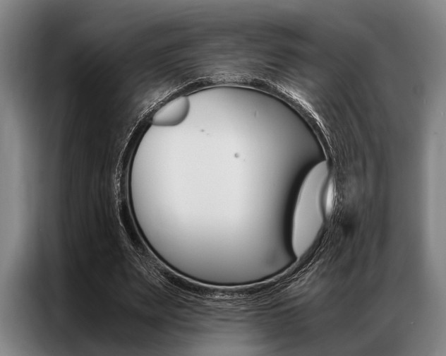 X0000087310487200704200721