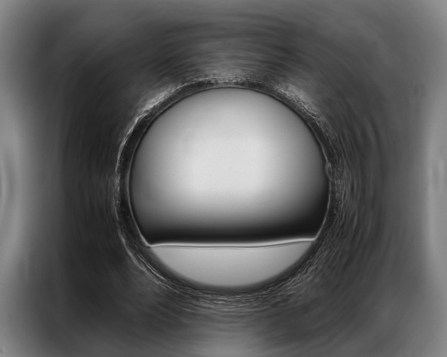 X0000087310488200704200721
