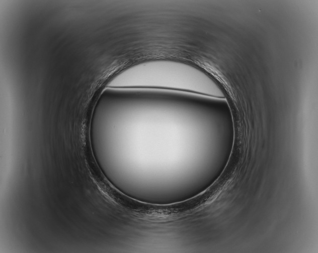 X0000087310489200704200721