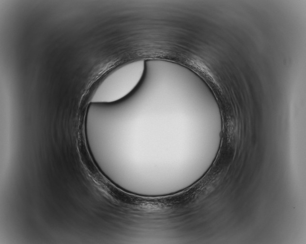 X0000087310490200704200721