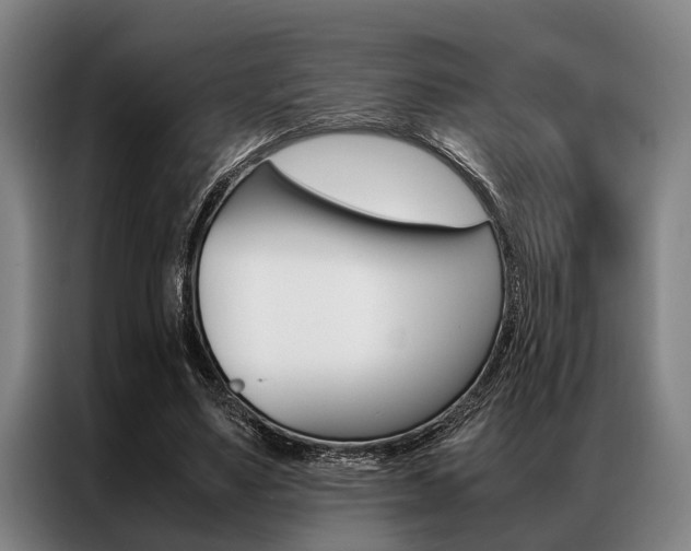 X0000087310491200704200721