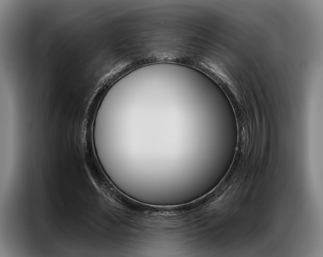 X0000087310492200704200721