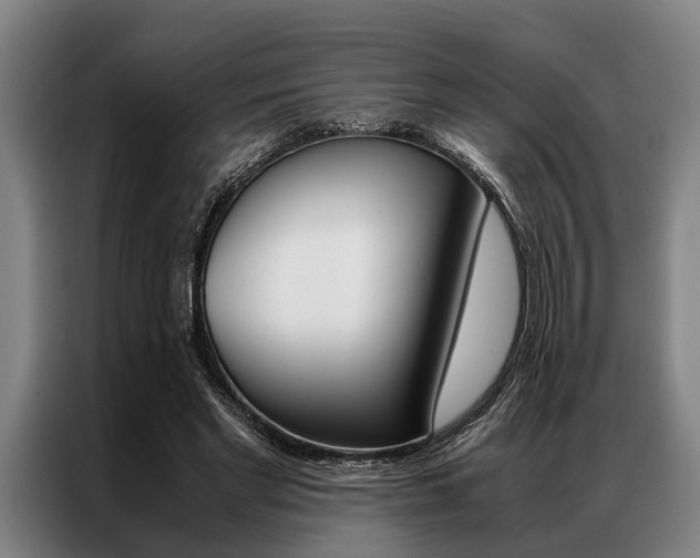 X0000087310493200704200721