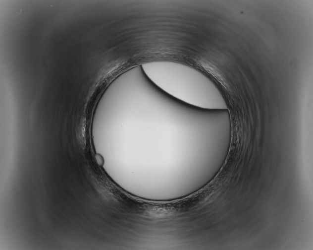 X0000087310494200704200721