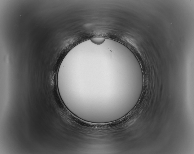 X0000087310495200704200721