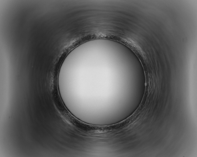X0000087310496200704200721