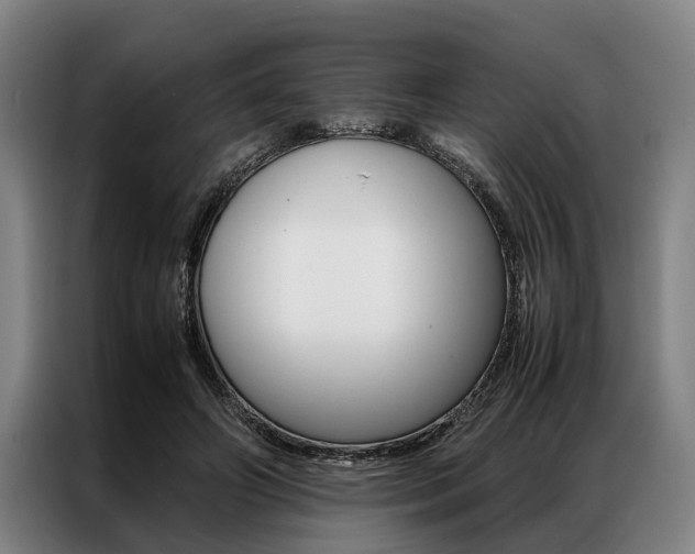 X0000087310498200704200721
