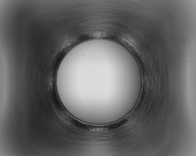 X0000087310499200704200721