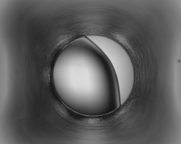 X0000087310501200704200721