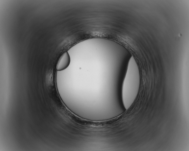 X0000087310502200704200721