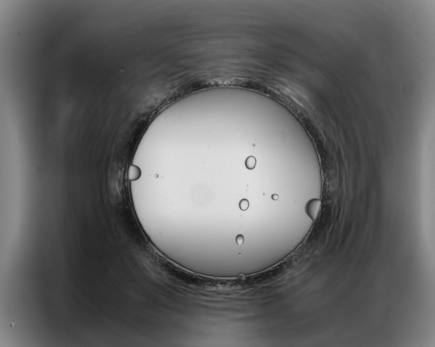 X0000087310503200704200721