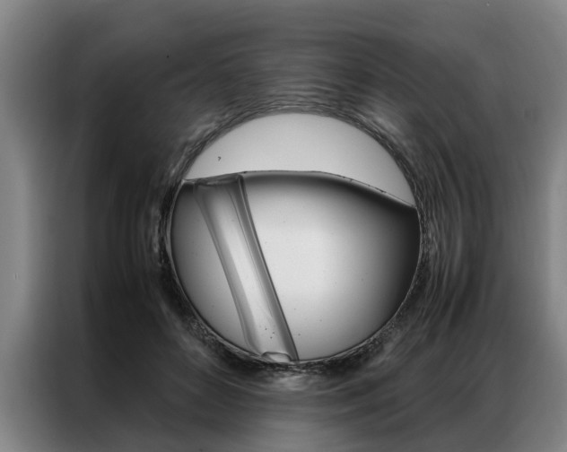 X0000087310504200704200721