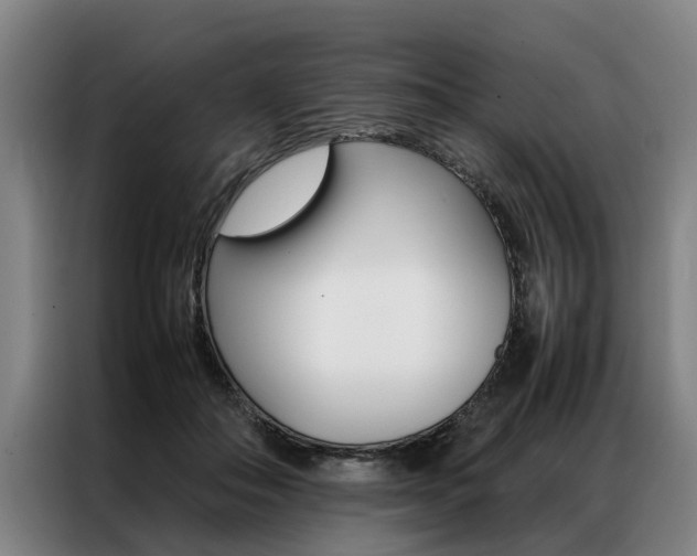 X0000087310506200704200721