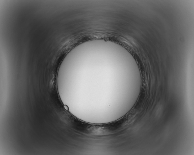 X0000087310507200704200721