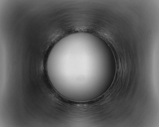 X0000087310508200704200721