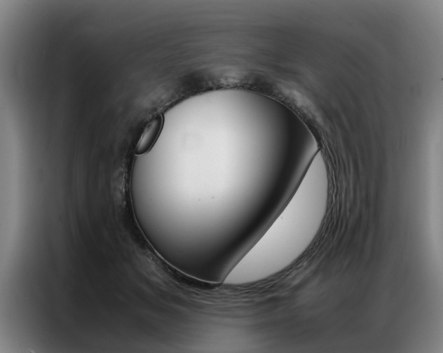 X0000087310509200704200721
