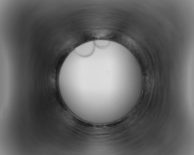 X0000087310510200704200721