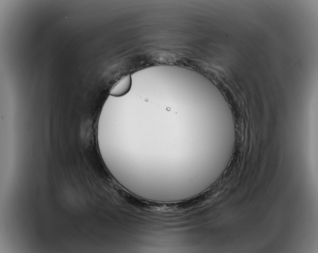 X0000087310511200704200721