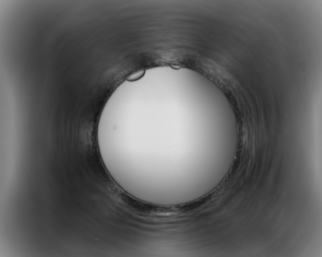 X0000087310514200704200721