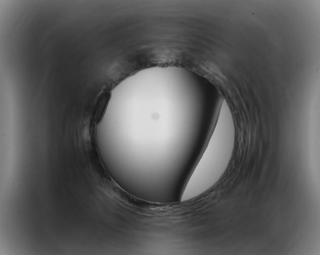 X0000087310516200704200721