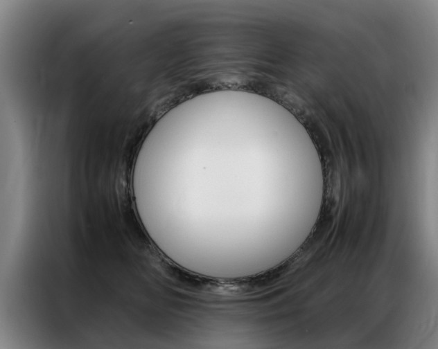 X0000087310518200704200721
