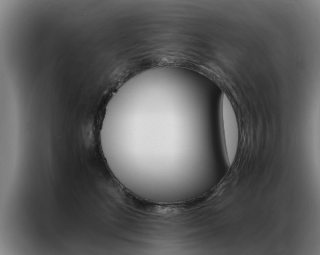 X0000087310520200704200721