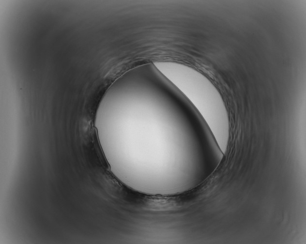 X0000087310521200704200721