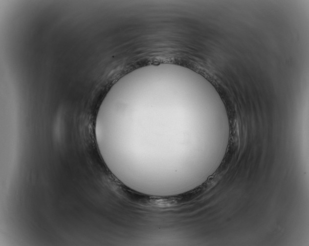 X0000087310522200704200721