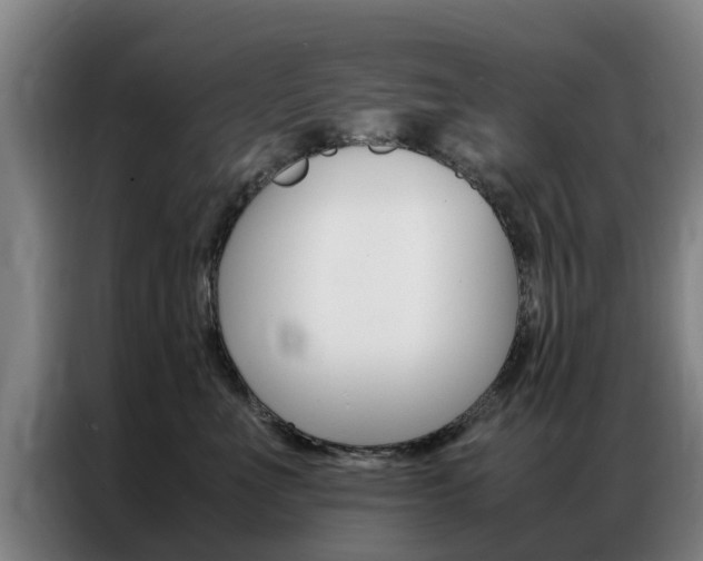 X0000087310523200704200720