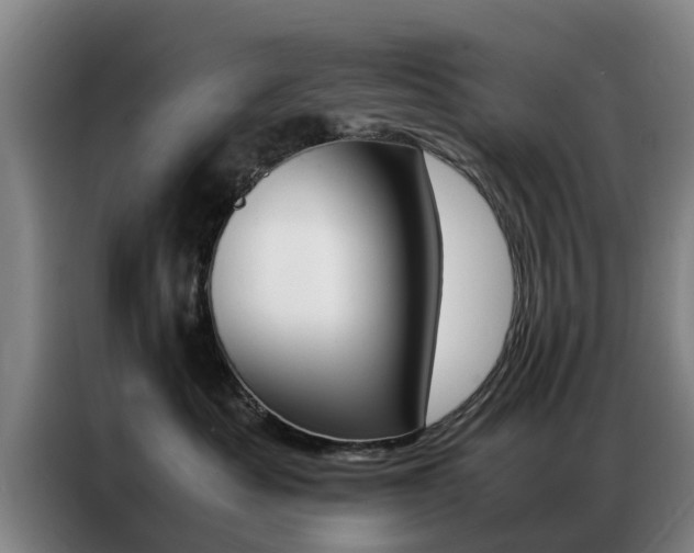 X0000087310525200704200720