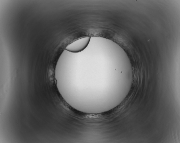 X0000087310526200704200720