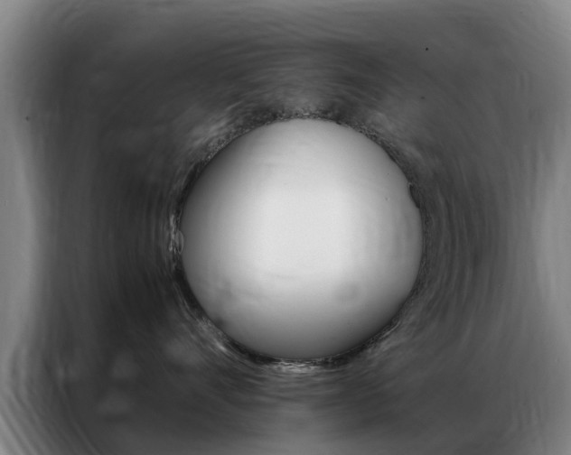 X0000087310528200704200720