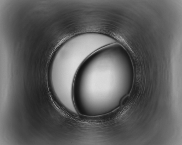 X0000087310530200704200720