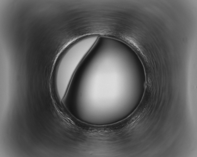 X0000087310532200704200720