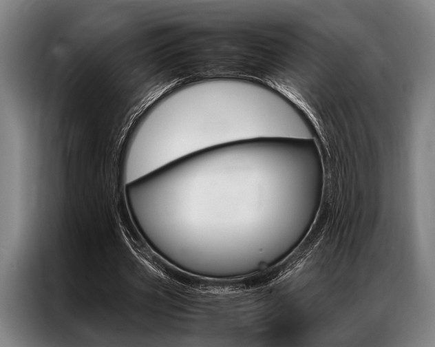 X0000087310533200704200720