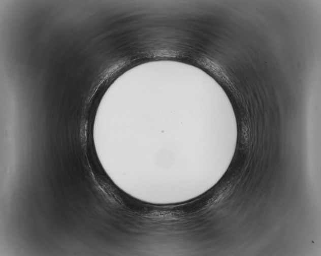 X0000087310534200704200720