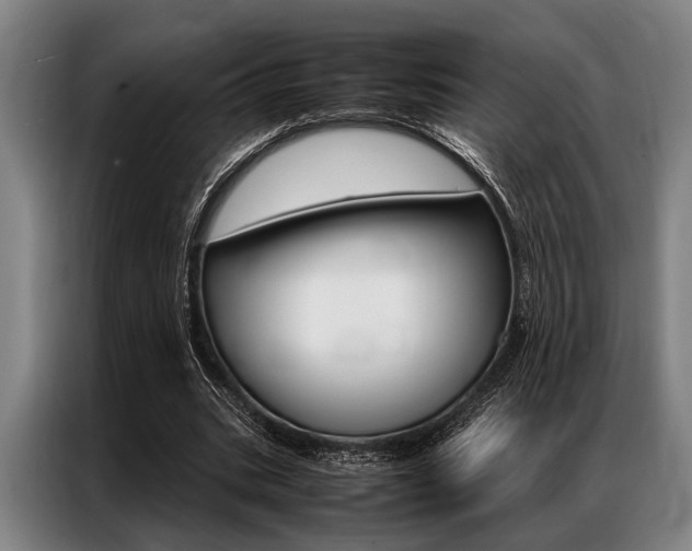 X0000087310535200704200720