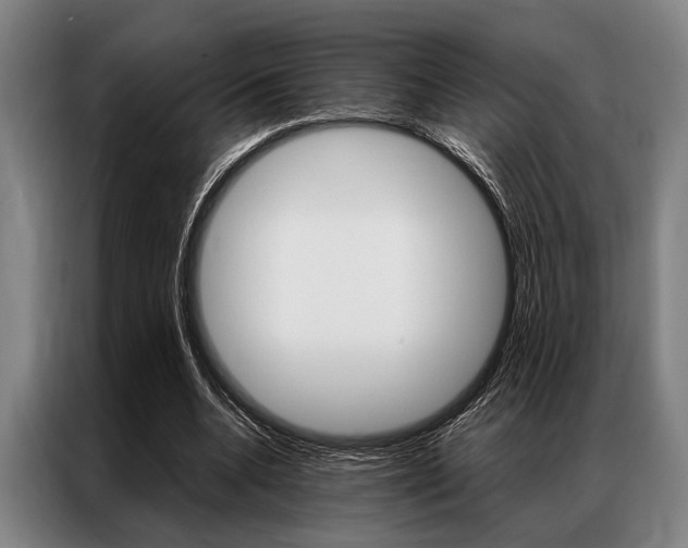 X0000087310536200704200720