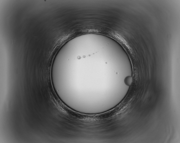 X0000087310537200704200720