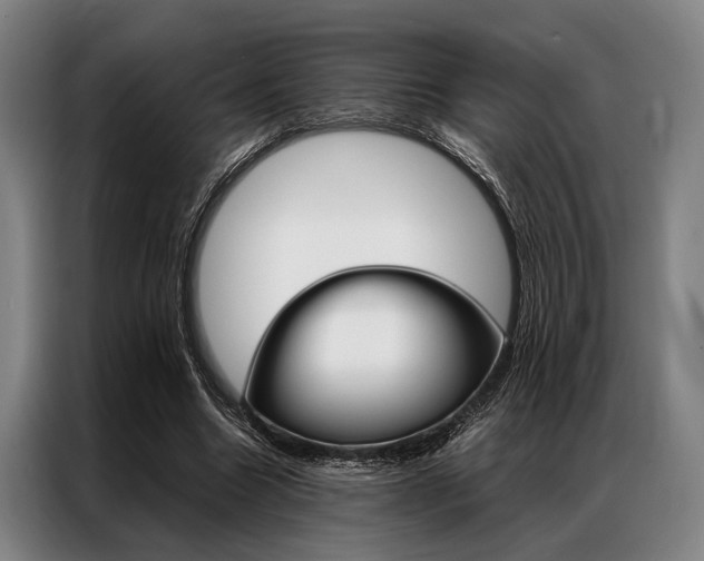 X0000087310538200704200720