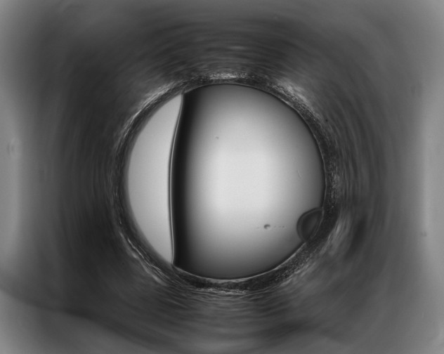 X0000087310539200704200720