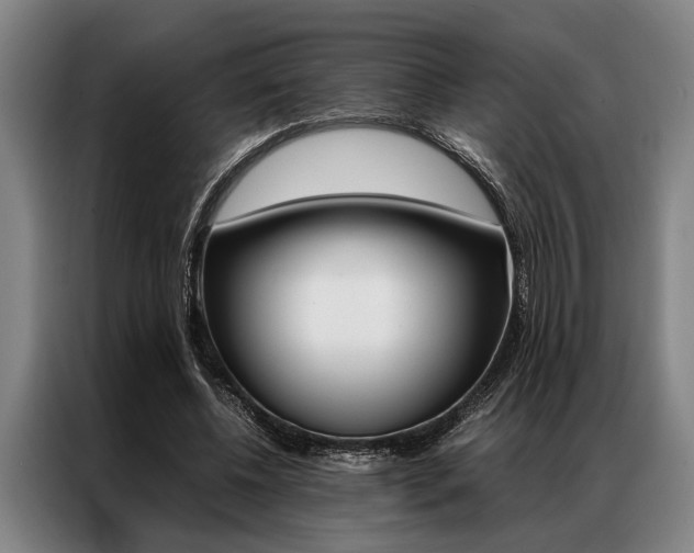X0000087310540200704200720
